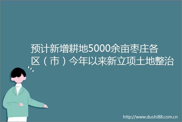 预计新增耕地5000余亩枣庄各区（市）今年以来新立项土地整治项目46个