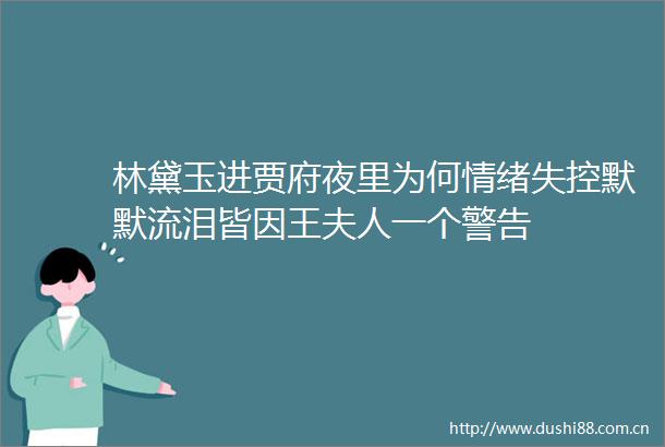 林黛玉进贾府夜里为何情绪失控默默流泪皆因王夫人一个警告