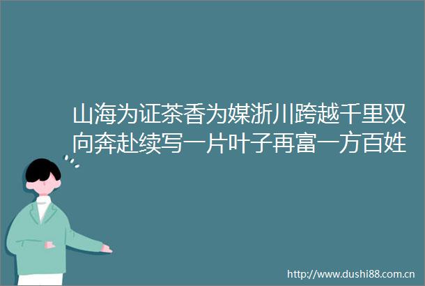 山海为证茶香为媒浙川跨越千里双向奔赴续写一片叶子再富一方百姓新故事游大美蜀道品广元好茶②