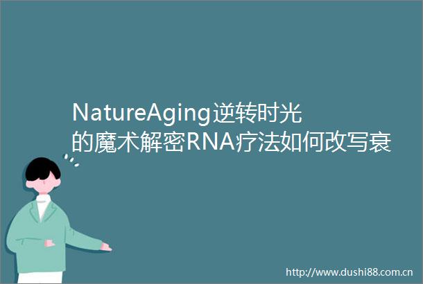 NatureAging逆转时光的魔术解密RNA疗法如何改写衰老剧本