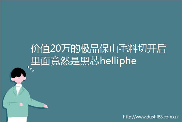 价值20万的极品保山毛料切开后里面竟然是黑芯helliphellip