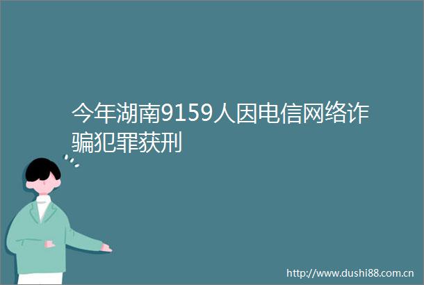 今年湖南9159人因电信网络诈获刑
