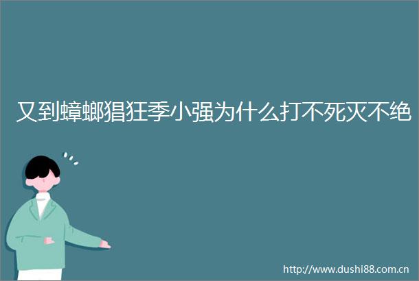 又到蟑螂猖狂季小强为什么打不死灭不绝