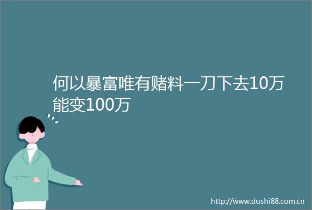何以暴富唯有赌料一刀下去10万能变100万
