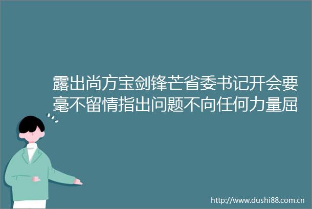 露出尚方宝剑锋芒省委书记开会要毫不留情指出问题不向任何力量屈服
