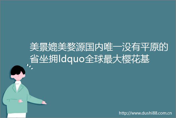美景媲美婺源国内唯一没有平原的省坐拥ldquo全球最大樱花基地rdquo却少有人知