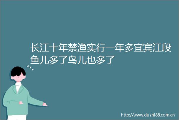 长江十年禁渔实行一年多宜宾江段鱼儿多了鸟儿也多了