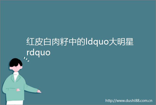 红皮白肉籽中的ldquo大明星rdquo