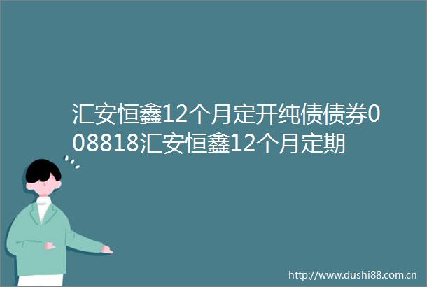 汇安恒鑫12个月定开纯债债券008818汇安恒鑫12个月定期开放纯债债券型发起式证券投资基金2024年中期报告