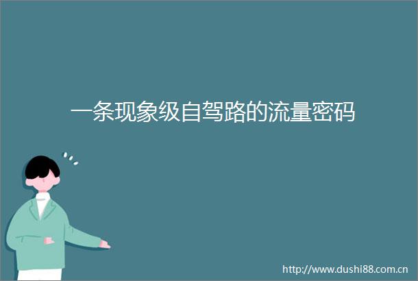 一条现象级自驾路的流量密码