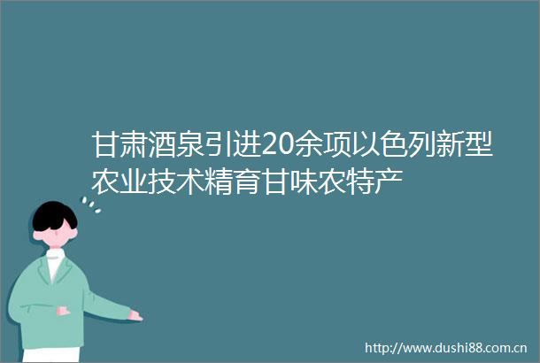 甘肃酒泉引进20余项以色列新型农业技术精育甘味农特产