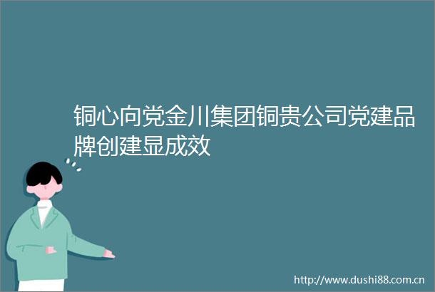 铜心向党金川集团铜贵公司党建品牌创建显成效