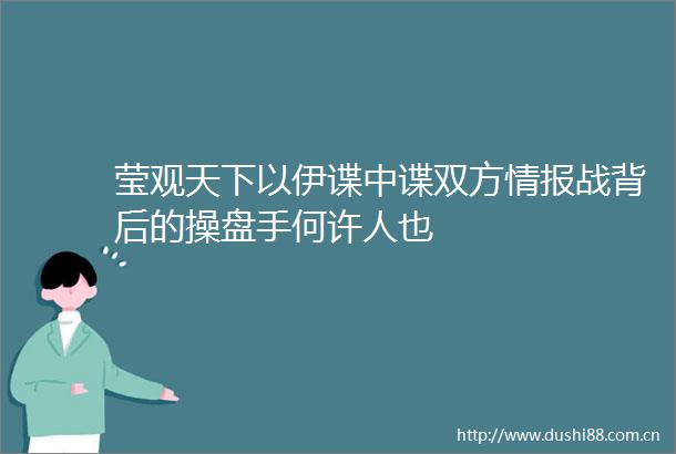 莹观天下以伊谍中谍双方情报战背后的操盘手何许人也