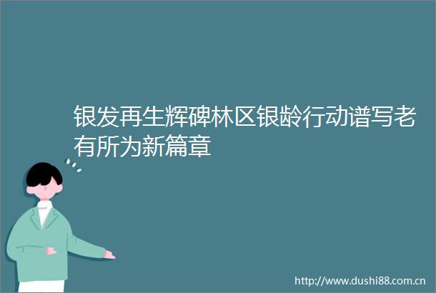 银发再生辉碑林区银龄行动谱写老有所为新篇章