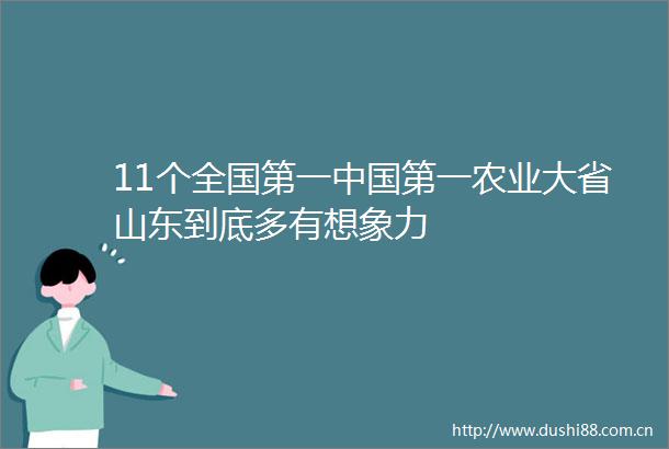 11个全国第一第一农业大省山东到底多有想象力