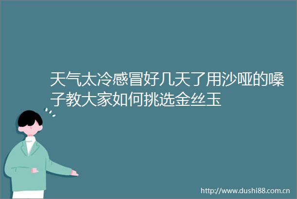 天气太冷感冒好几天了用沙哑的嗓子教大家如何挑选金丝玉