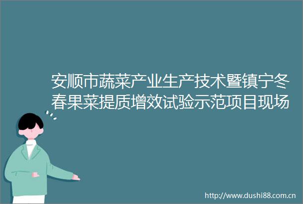 安顺市蔬菜产业生产技术暨镇宁冬春果菜提质增效试验示范项目现场培训会召开