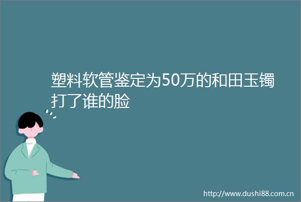 塑料软管鉴定为50万的和田玉镯打了谁的脸