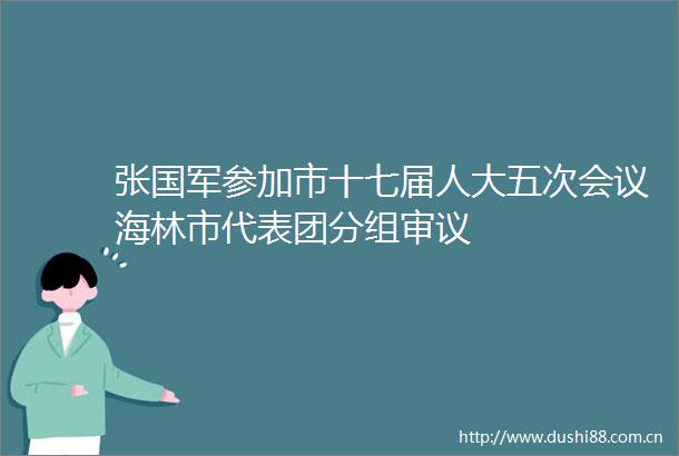 张国军参加市十七届人大五次会议海林市代表团分组审议