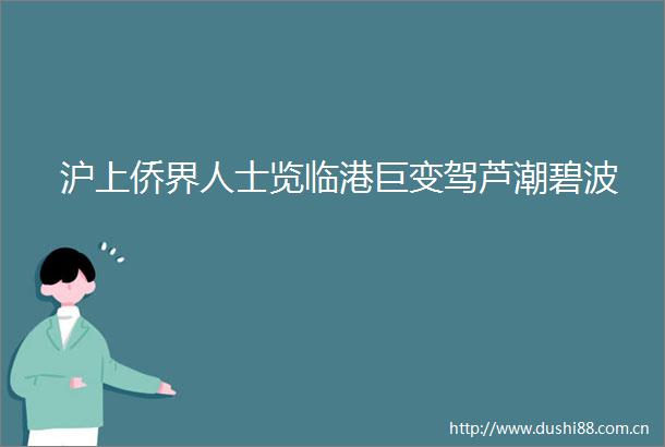 沪上侨界人士览临港巨变驾芦潮碧波