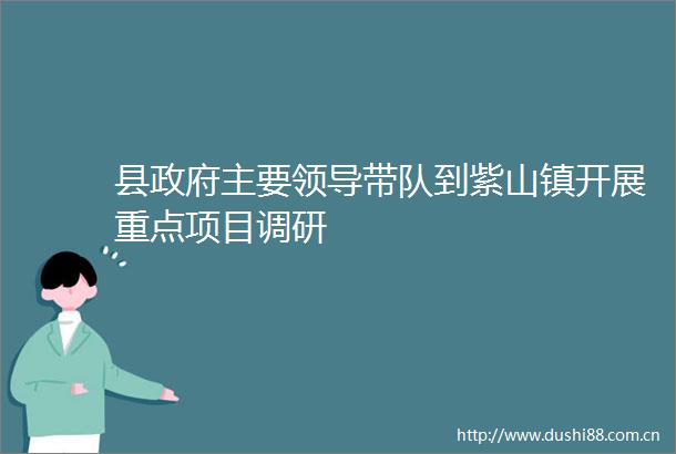 县主要带队到紫山镇开展重点项目调研