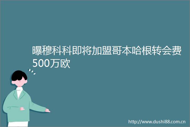 曝穆科科即将加盟哥本哈根转会费500万欧