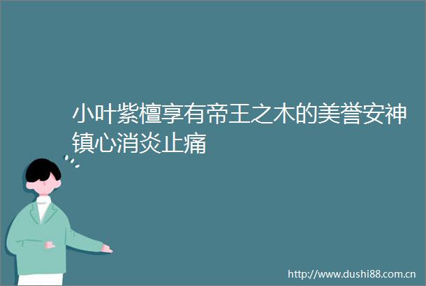 小叶紫檀享有帝王之木的美誉安神镇心消炎止痛