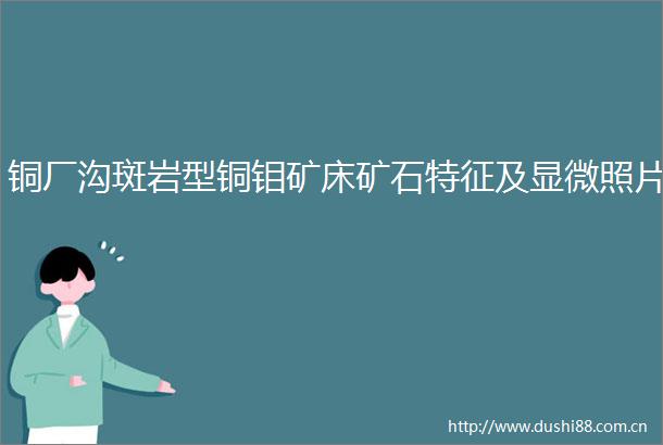 铜厂沟斑岩型铜钼矿床矿石特征及显微照片