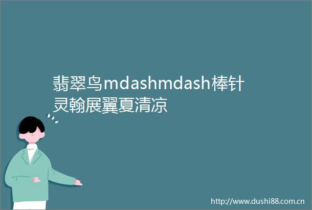 翡翠鸟mdashmdash棒针灵翰展翼夏清凉