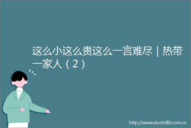 这么小这么贵这么一言难尽｜热带一家人（2）