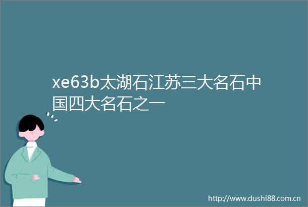 xe63b太湖石江苏三大名石四大名石之一