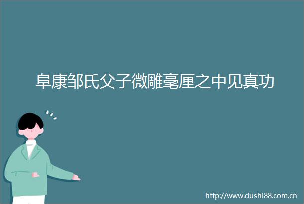 阜康邹氏父子微雕毫厘之中见真功