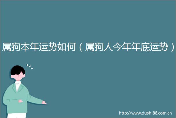 属狗本年运势如何（属狗人今年年底运势）