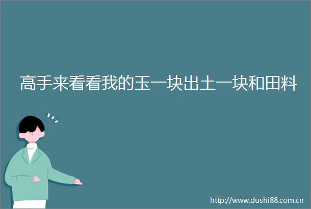 高手来看看我的玉一块出土一块和田料
