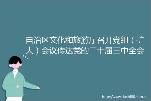自治区文化和旅游厅召开党组（扩大）会议传达党的二十届三中全会精神