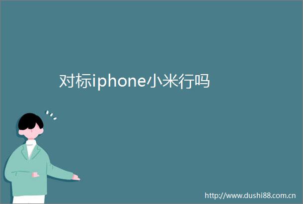 对标iphone小米行吗