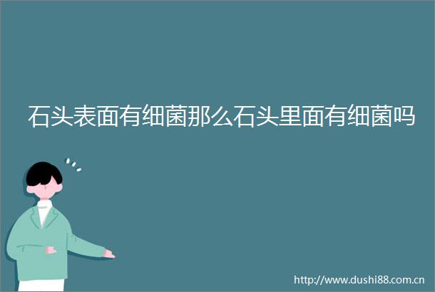 石头表面有细菌那么石头里面有细菌吗