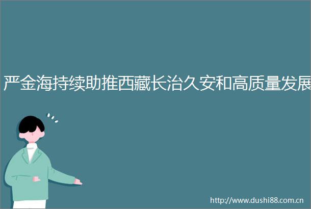 严金海持续助推西藏长治久安和高质量发展