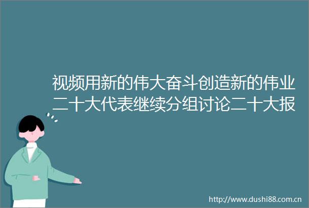 视频用新的伟大奋斗创造新的伟业二十大代表继续分组讨论二十大报告