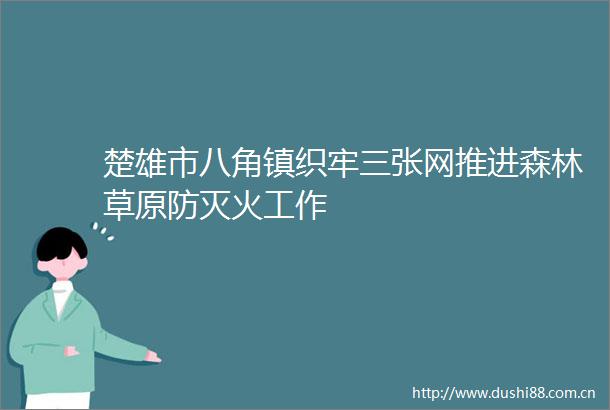 楚雄市八角镇织牢三张网推进森林草原防灭火工作