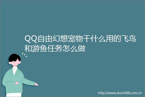 QQ自由幻想宠物干什么用的飞鸟和游鱼任务怎么做