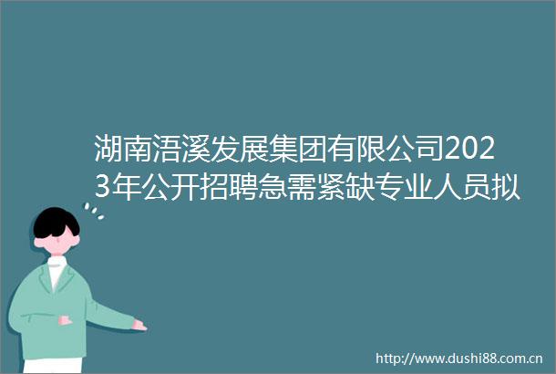湖南浯溪发展集团有限公司2023年公开招聘急需紧缺专业人员拟聘用人员公示