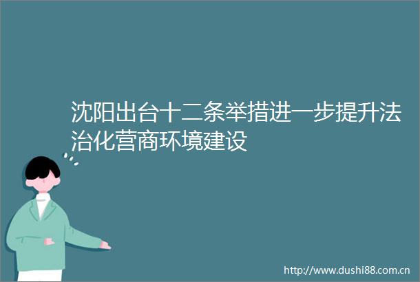 沈阳出台十二条举措进一步提升法治化营商环境建设