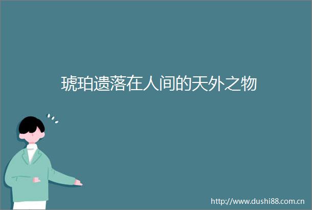 琥珀遗落在人间的天外之物