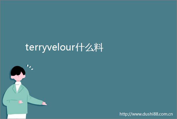 terryvelour什么料
