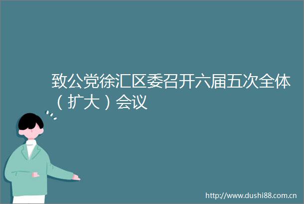 致公党徐汇区委召开六届五次全体（扩大）会议