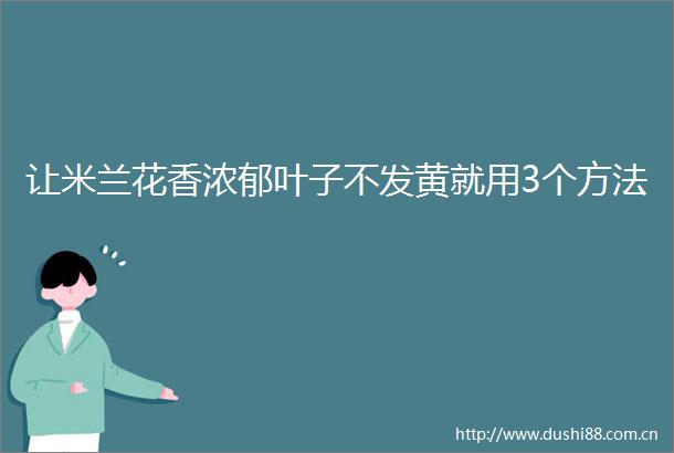 让米兰花香浓郁叶子不发黄就用3个方法