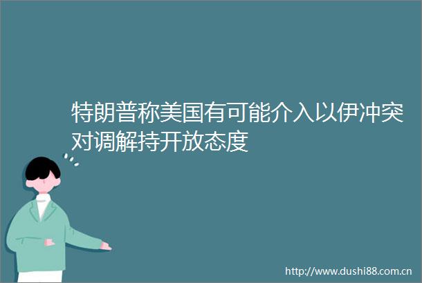 特朗普称美国有可能介入以伊冲突对调解持开放态度