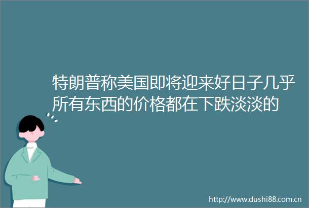 特朗普称美国即将迎来好日子几乎所有东西的价格都在下跌淡淡的