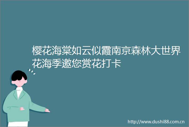 樱花海棠如云似霞南京森林大世界花海季邀您赏花打卡